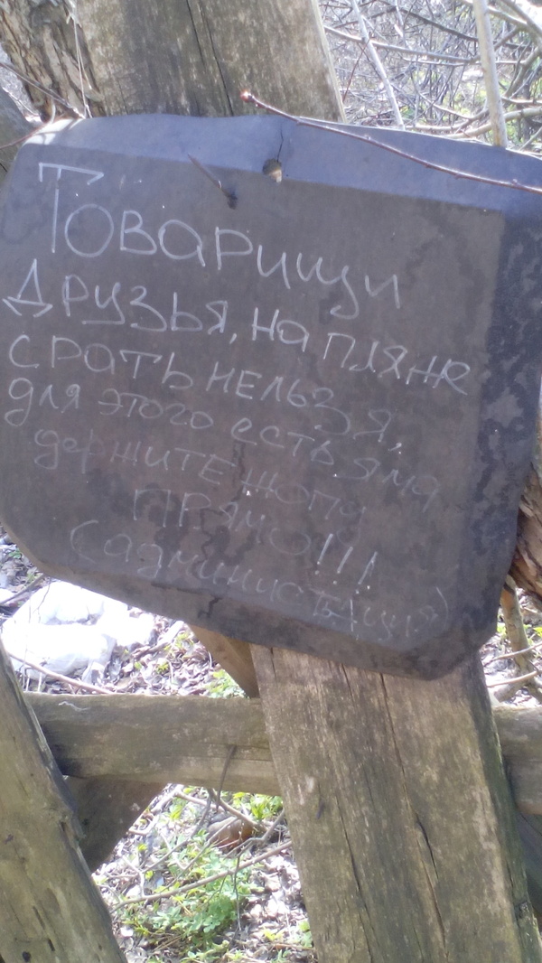 Друзьям-товарищам.