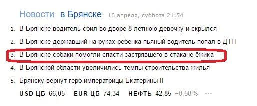 ���� ���������