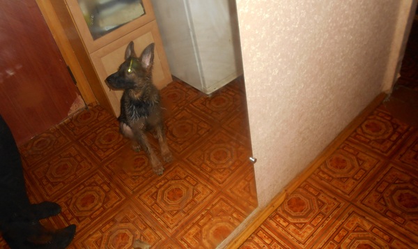 ��� ����� ��������? ���� ����� ��������)