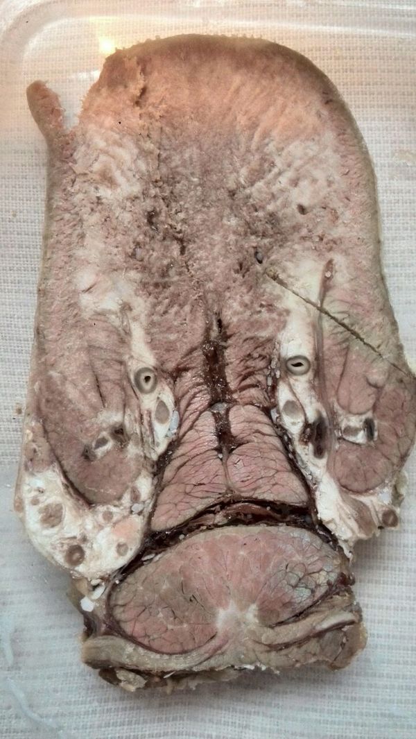 ��� ����� �� ��������� ����� ������ � �����