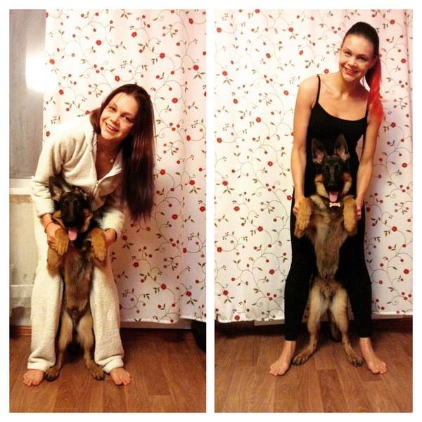 Моя собака))) Растут не по дням а по часам 1 месяц прошел))