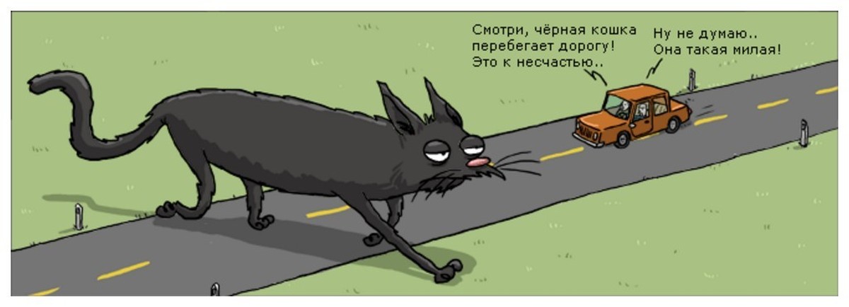 Приметы перейти дорогу. Чёрная кошка перебежала дорогу. Черный кот перебегает дорогу. Черная кошка переходит дорогу. Кошка черная дорогу перебежала дорогу.