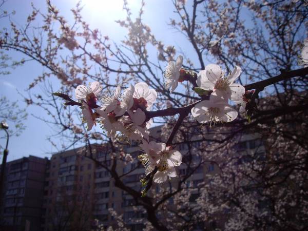 �� �������� ��� �������� ������.