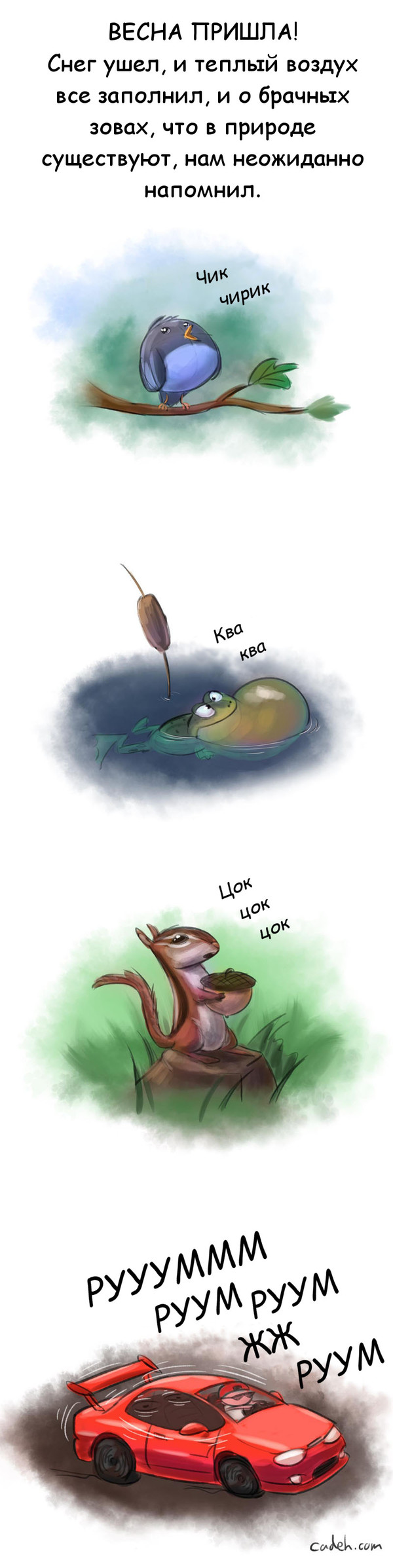 ���� ����