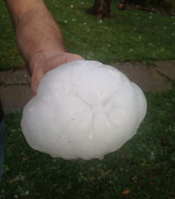 ��������.