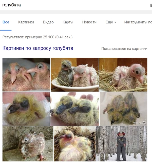   , , , Google,  