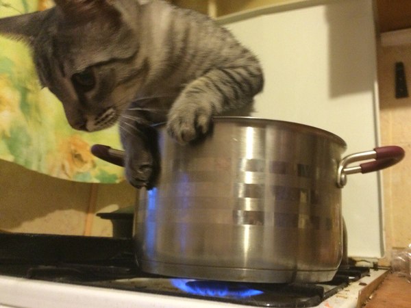 Жгется, зараза!!