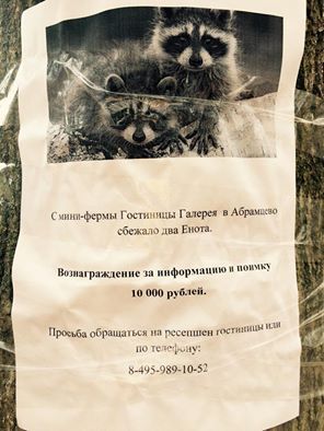 Побег века.