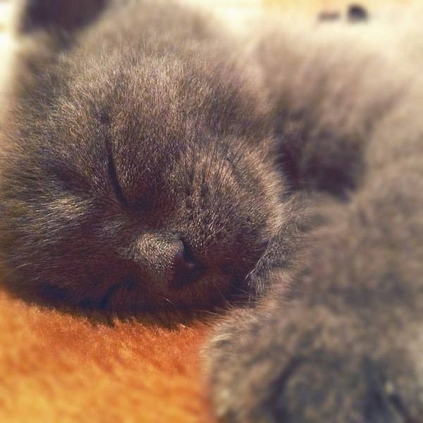 ����� ������ � �������� �����.