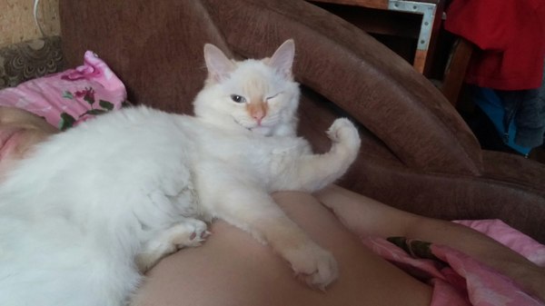 ���-����