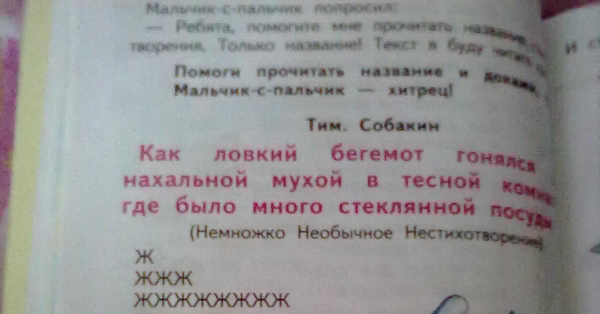 Как ловкий бегемот гонялся за нахальной мухой 1 класс презентация