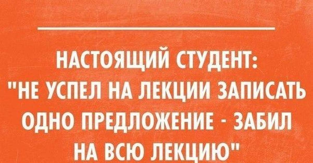 Прикольные картинки про студентов картинки