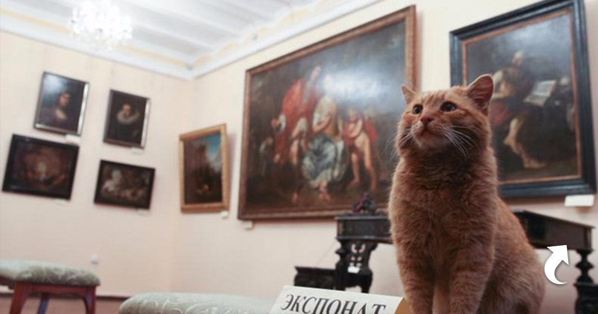 Музей Кошек Фото