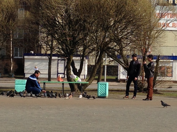 Горизонт завален, как считаете?