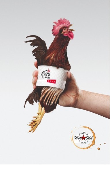 #���������� #�����-��������� #���� �� "Hot&amp;amp;Cold"  .��������� ���������� �� ���� ����)