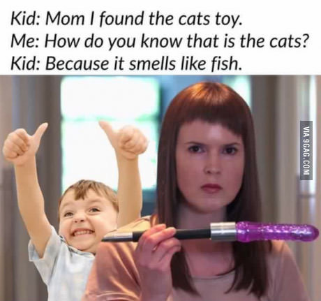 cat toy - NSFW, Children, Toys for adults, 9GAG