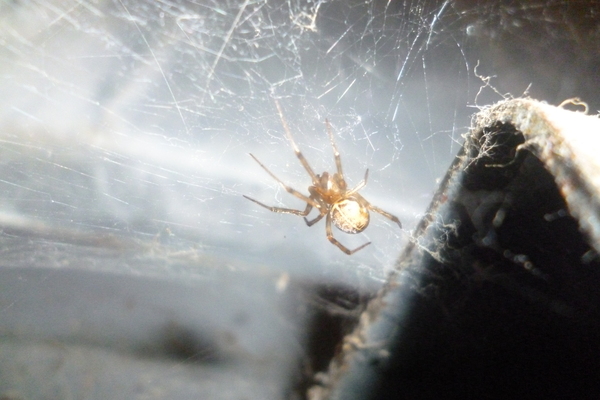 ����, ������� ��� � ��� � ��������