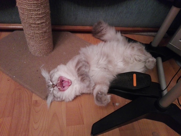 ��� ��� ����������!!!!!