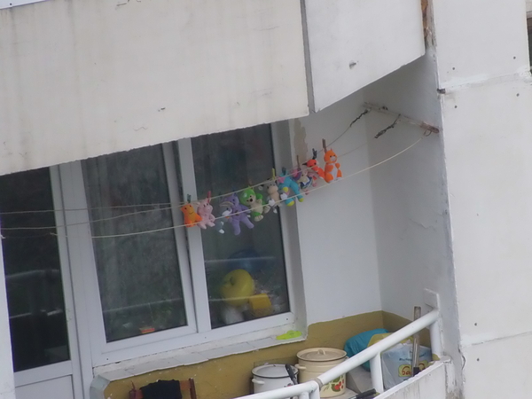 ������ � ���� ��������� ����