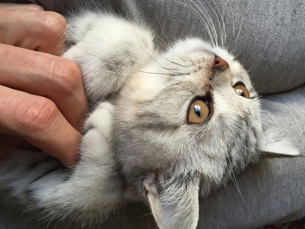 Продолжаем обучение хорошим постам. Фотки на тапок.