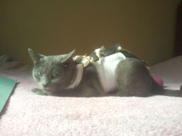 После стерилизации