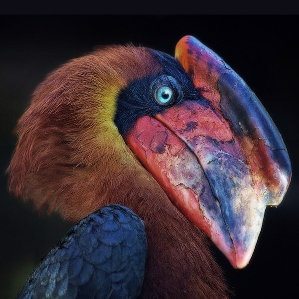       , -, , , , , 