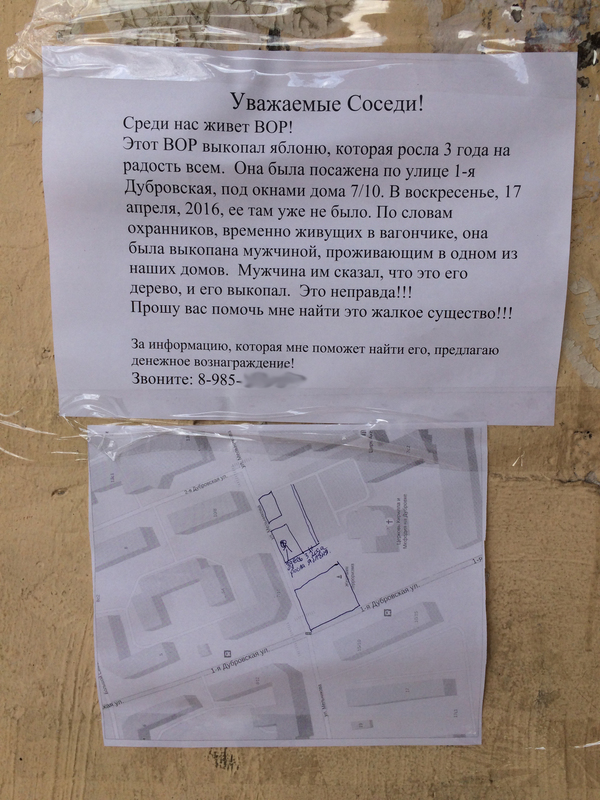 Яблоневый вор, отзовись!