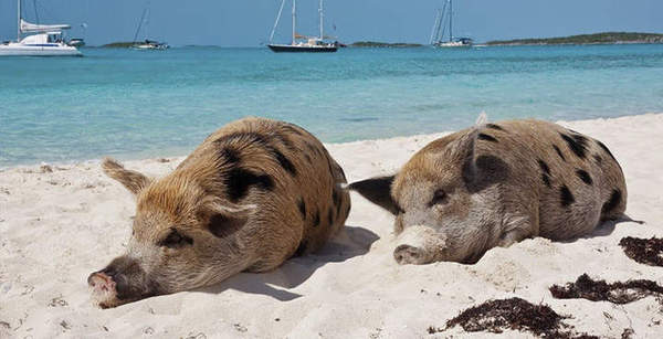 И будем вечно лежать...