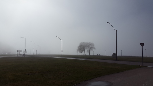 ������� ��������� ���� � ��������