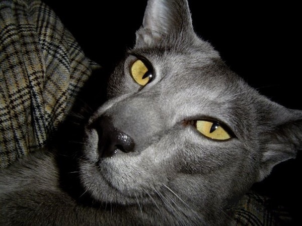 То ли он живет у папы, то ли папа у него...