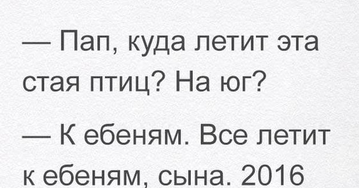 А куда. Куда все летит к ебеням. Папа куда летят эти птицы. К ебеням все летит к ебеням. Папа папа а куда летят эти птицы.