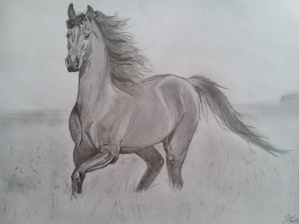 Пятничная лошадка.