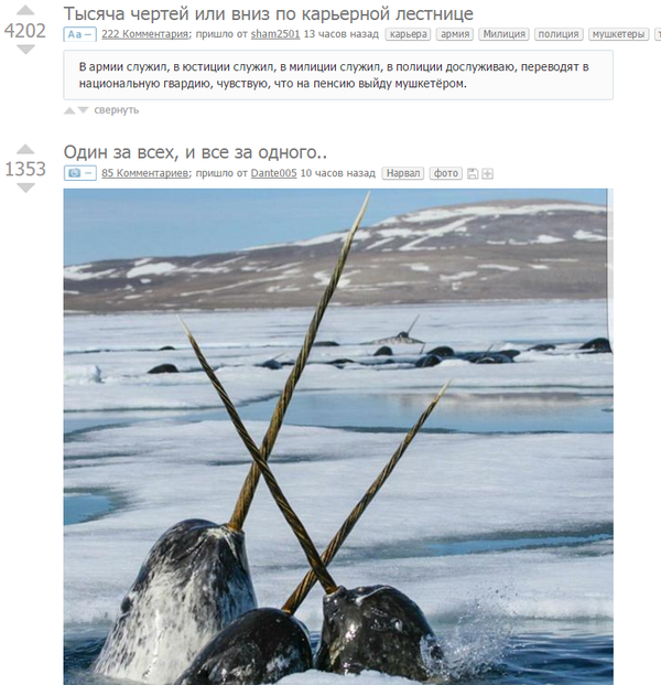 ������� ����������!