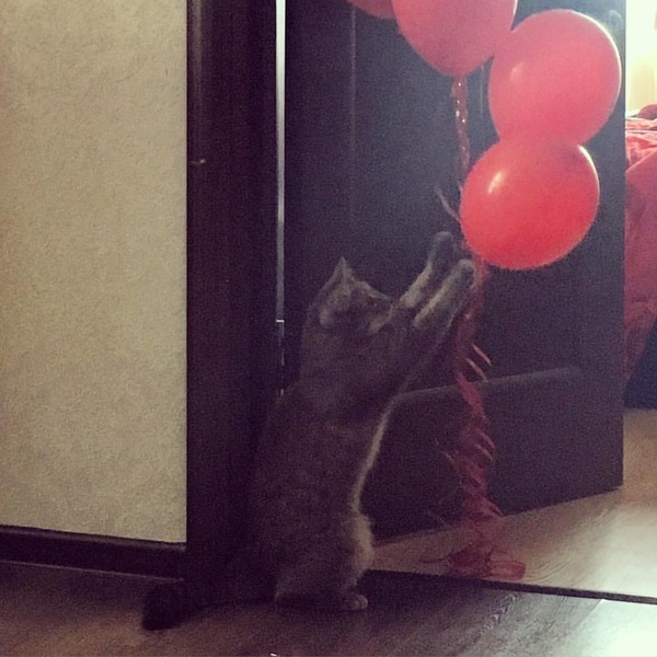    3...2...1... , ,  