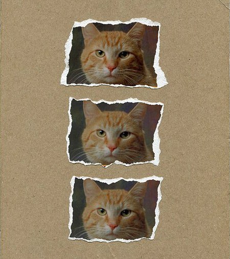 ������� ������