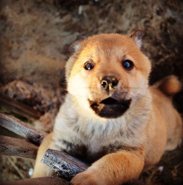 ��������� �����:)