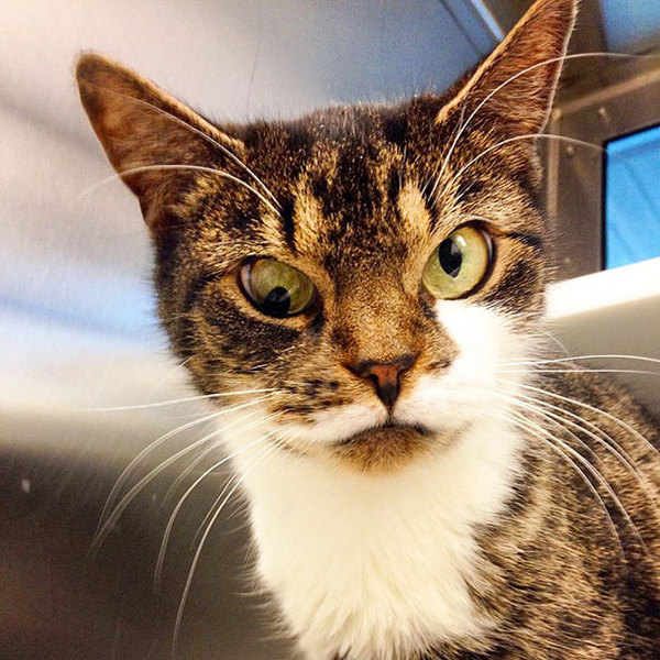 Угадай куда я царапну?))