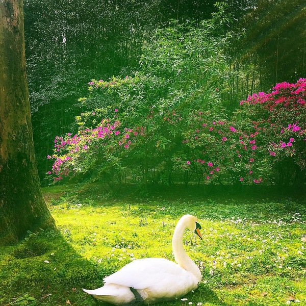 ������� ��-��������