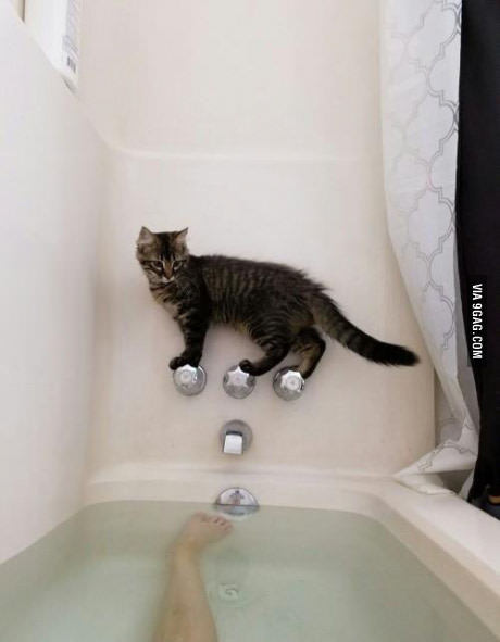 С тобой всё нормально, человек?