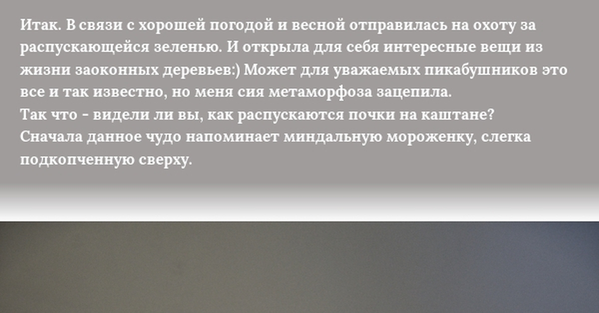 Северная пальма | Пикабу