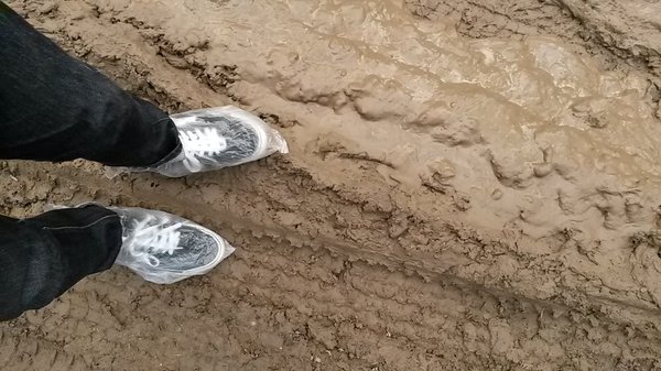 � - �����