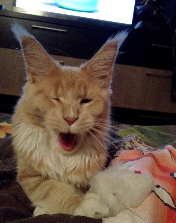 С добрым утром!