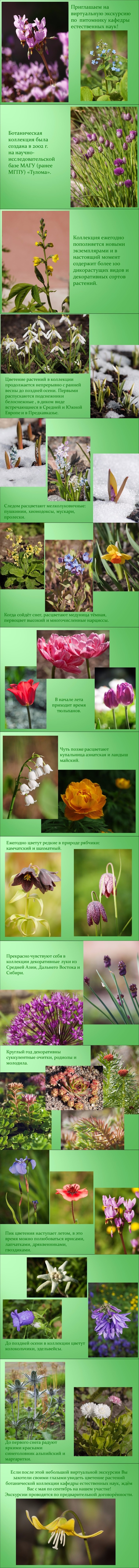 Проголосуй за город-сад!