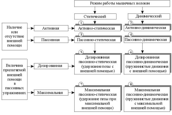 наивысшие показатели гибкости проявляются в какое время. Смотреть фото наивысшие показатели гибкости проявляются в какое время. Смотреть картинку наивысшие показатели гибкости проявляются в какое время. Картинка про наивысшие показатели гибкости проявляются в какое время. Фото наивысшие показатели гибкости проявляются в какое время