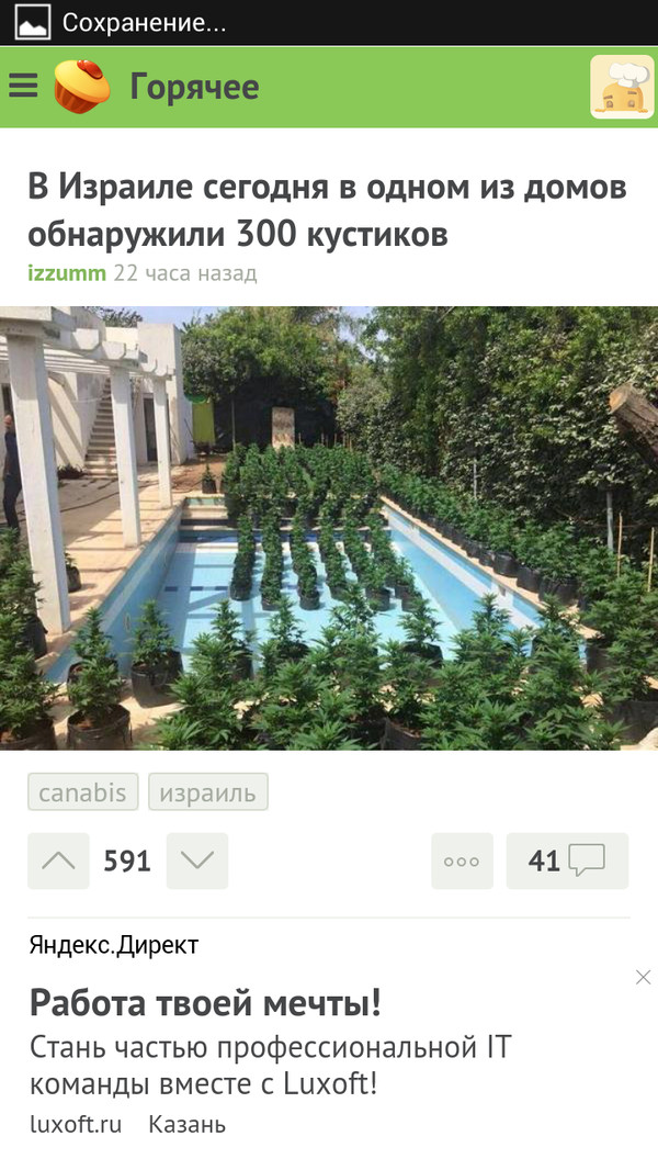 Яндекс нашел мне работу)))