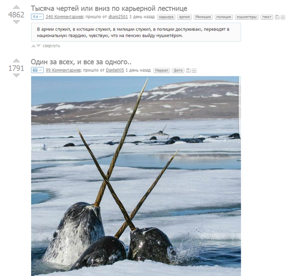 ������ �������