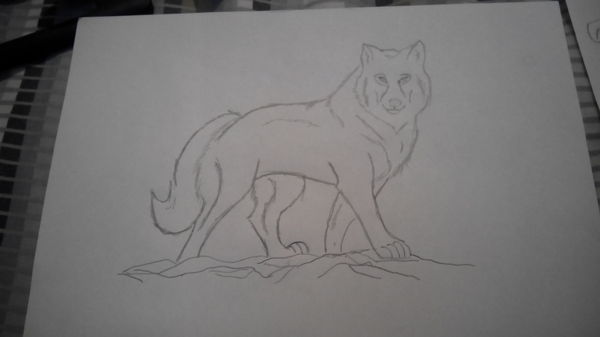 Оцените начинающего художника. Снимал на тапок