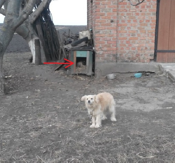 Кричущая несправедливость