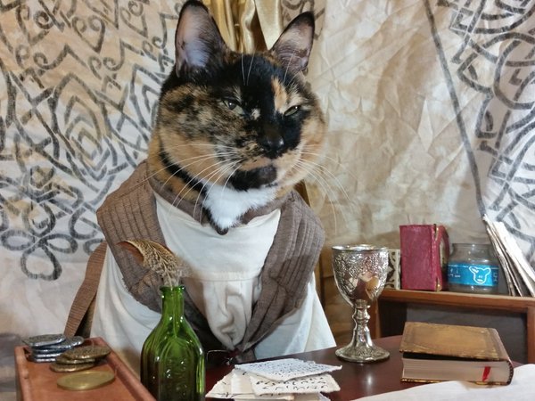 �������� ���