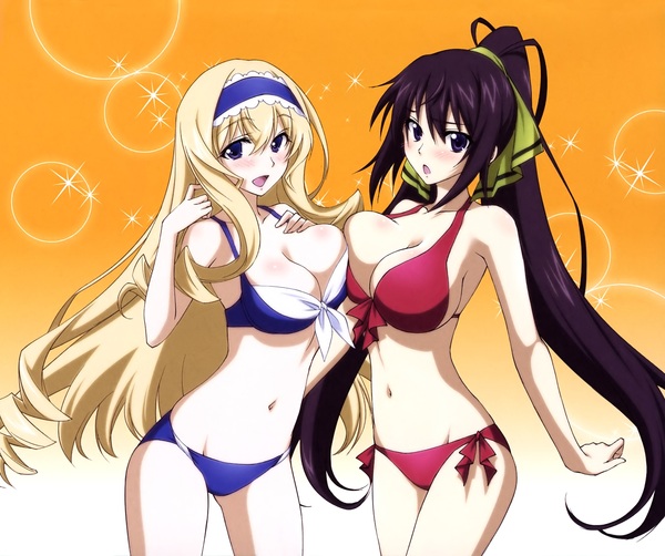 Infinite stratos art - NSFW, Аниме, Anime Art, Infinite stratos, Длиннопост